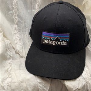 Patagonia baseball cap